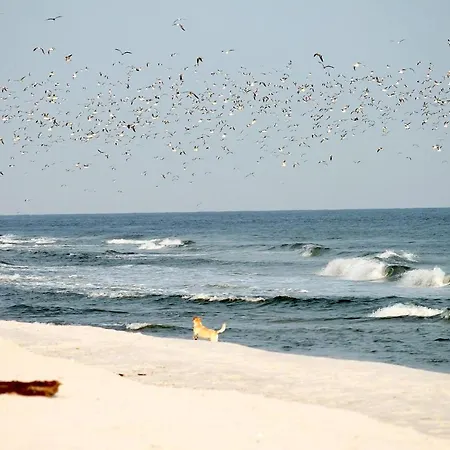 Apartamento White Pearl 4 02