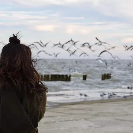 White Pearl 4 02 Apartamento Timmendorfer Strand